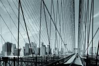 Rvsz Tams - New York