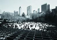 Rvsz Tams - New York